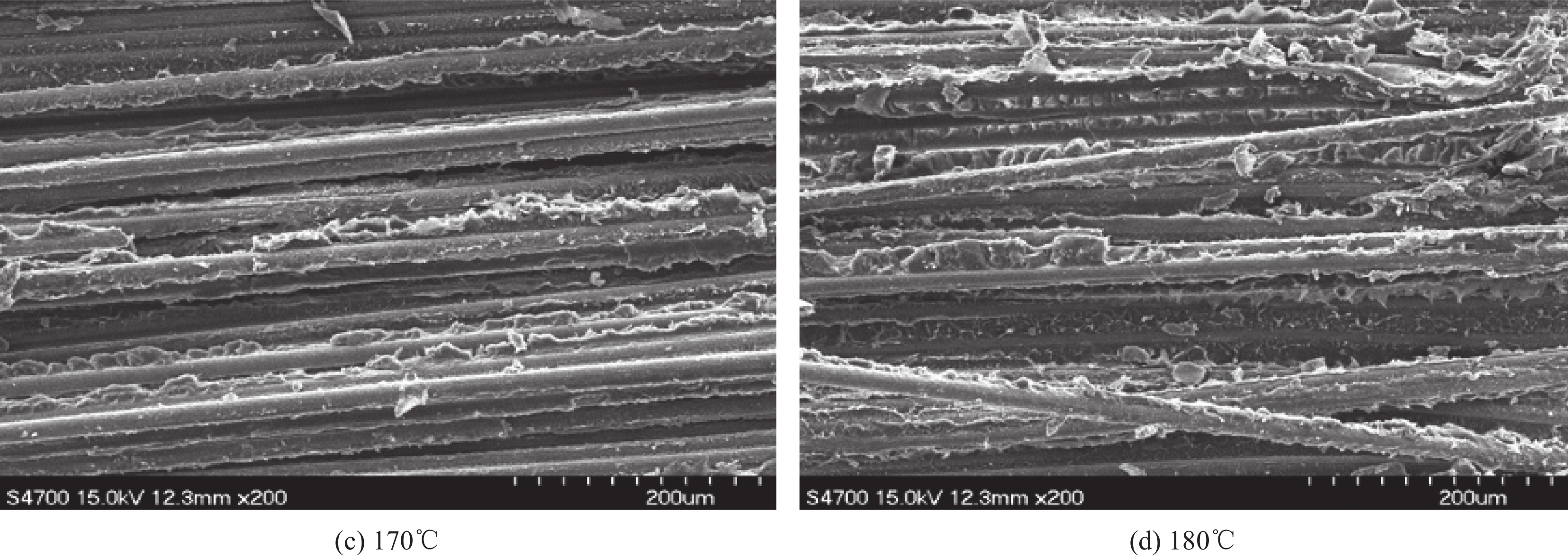 rtm成型玻璃纤维增强阴离子聚合尼龙6复合材料及其性能