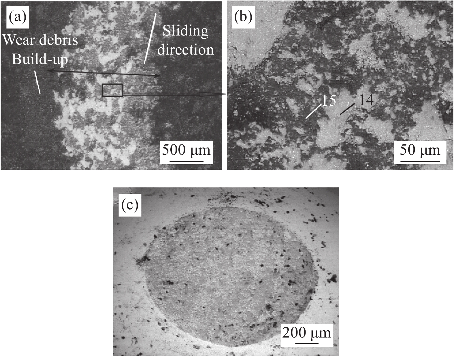 高铌tial合金表面硅化物涂层的组织结构及其宽温域摩擦学性能