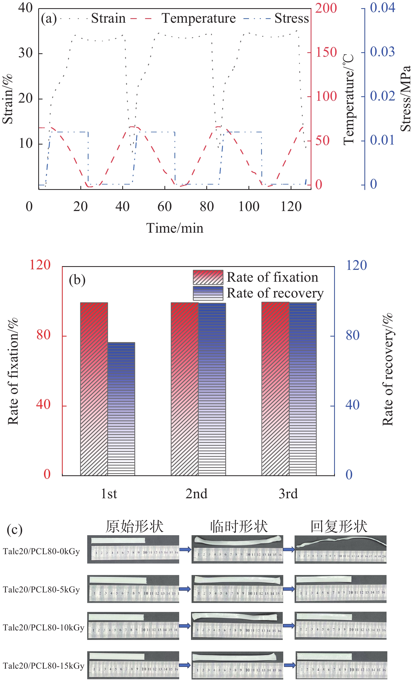 Talc20/PCL80-15 kGy复合材料的(a)三次形状记忆循环曲线及(b)形状固定率与形状回复率；(c)Talc/PCL复合材料的形状记忆图片